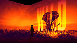 A visitor walking up to the projection screen at Illuminarium, Atlanta.