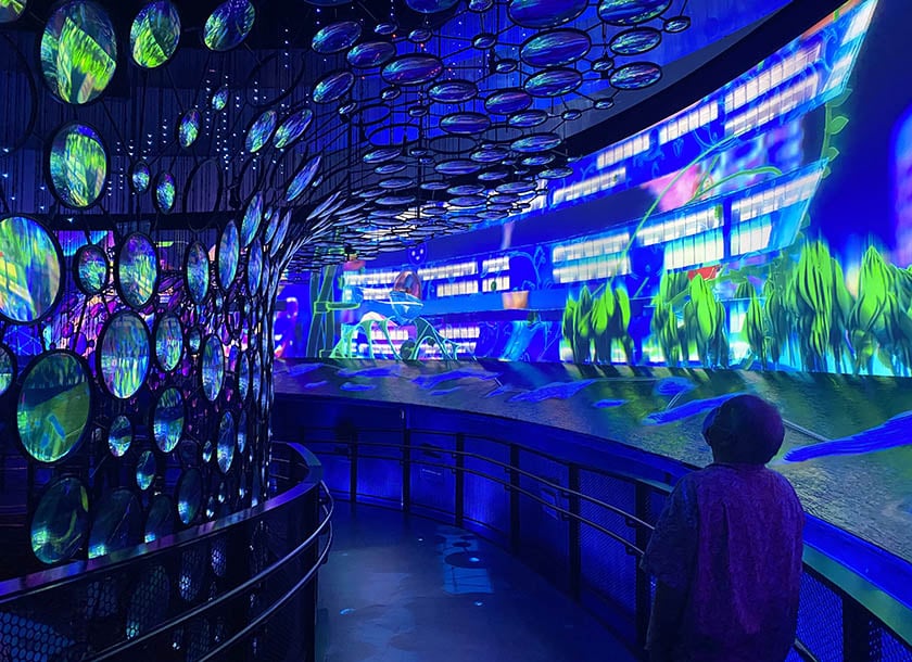 Visitors to EXPO 2020 walking through the Mobility Pavilion.